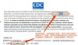 辉瑞总裁爆料视频最新版,揭秘疫苗研发内幕与全球健康挑战