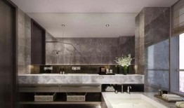 赛博猴值得买吗最新爆料,投资价值揭秘，值得入手吗？